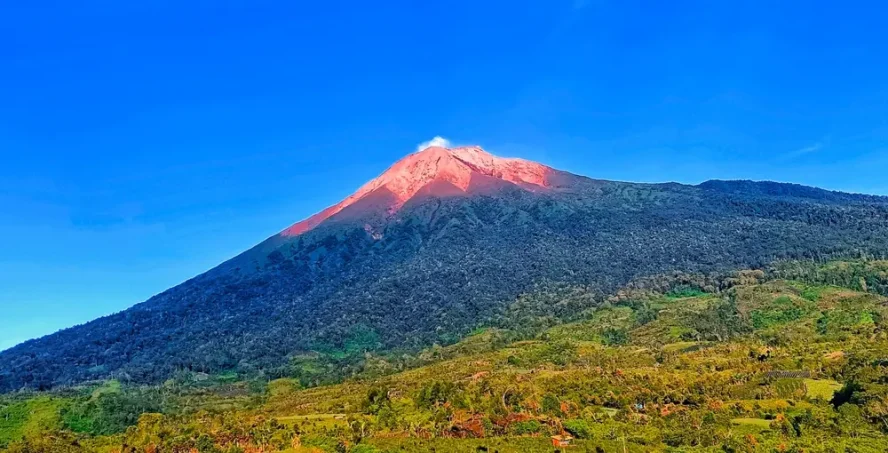 Menjelajahi alam Gunung Kerinci